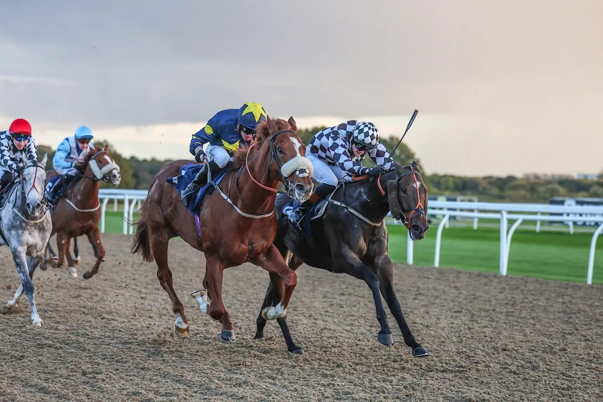Qila winning in the Brian Ellison Racing Club colours