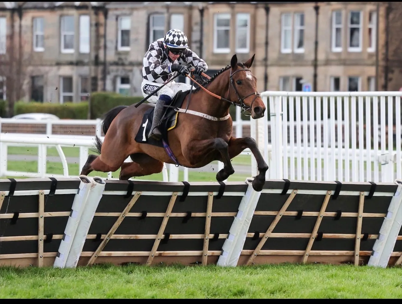 Freddy Robinson racing over a hurdle in the Brian Ellison Racing Club black-and-white diamonds