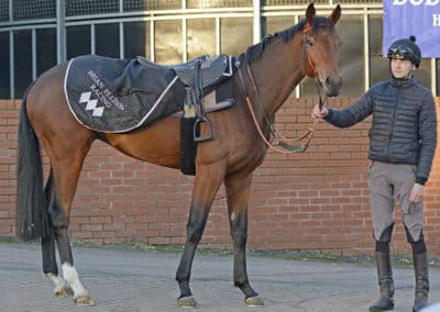 Brian Ellison Racing (Race Horse Trainer)