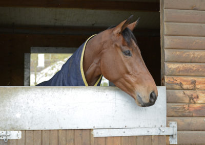 Brian Ellison Racing (Race Horse Trainer)