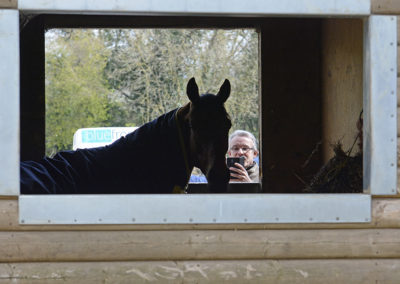 Brian Ellison Racing (Race Horse Trainer)