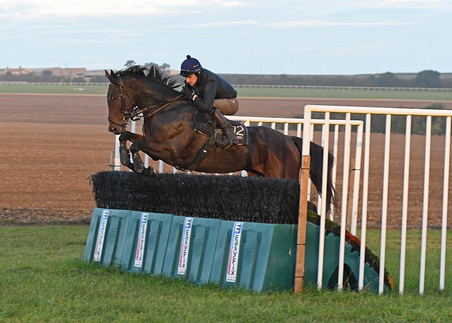 Brian Ellison Racing | One of the leading dual-purpose trainers in the ...