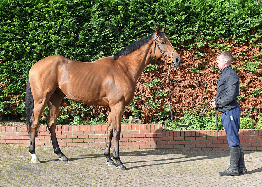 Over the moon with Chester double TASHKHAN & RAMIRO