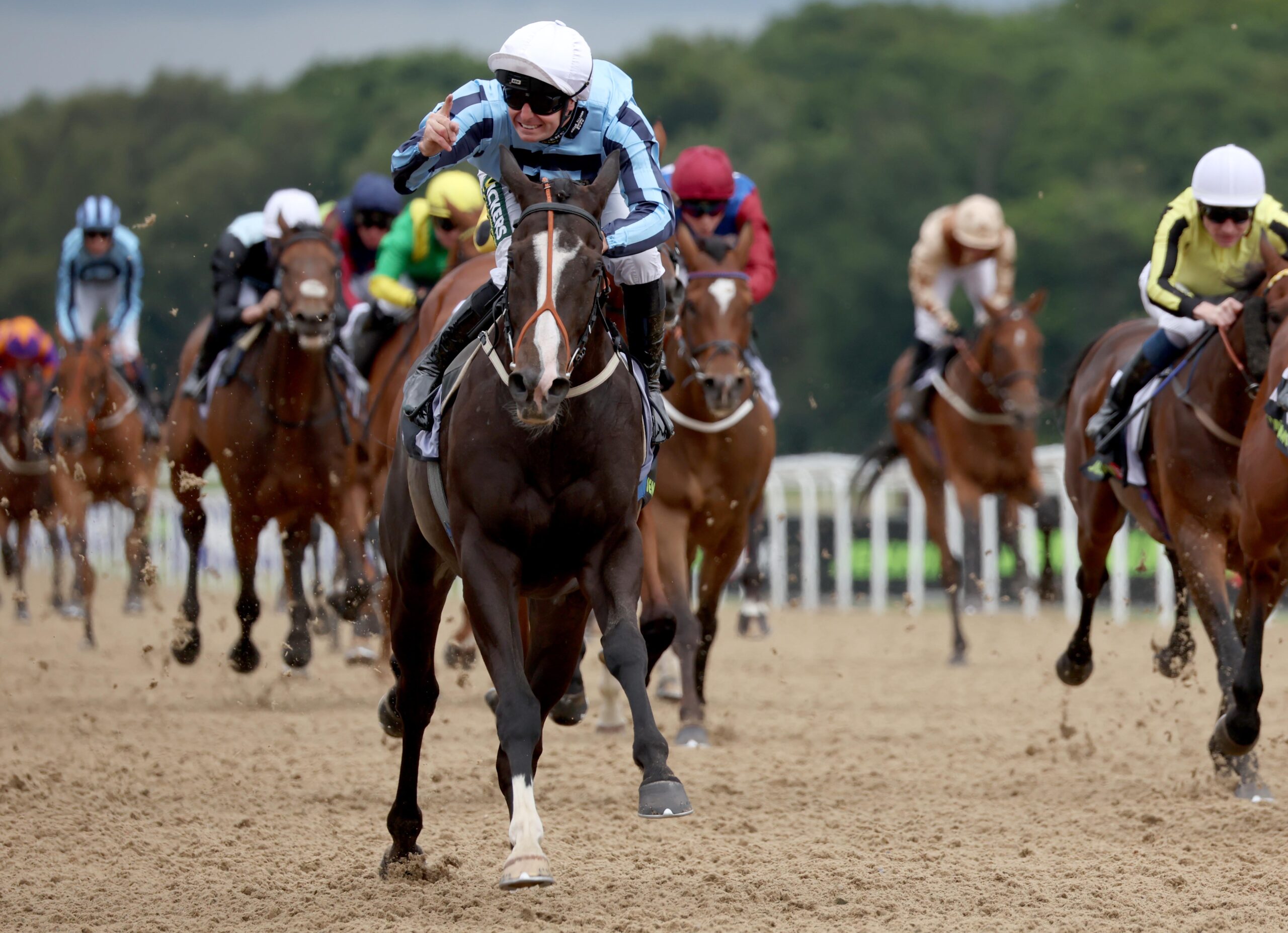Backbyjet to the winner after finishing 2nd at Hexham
