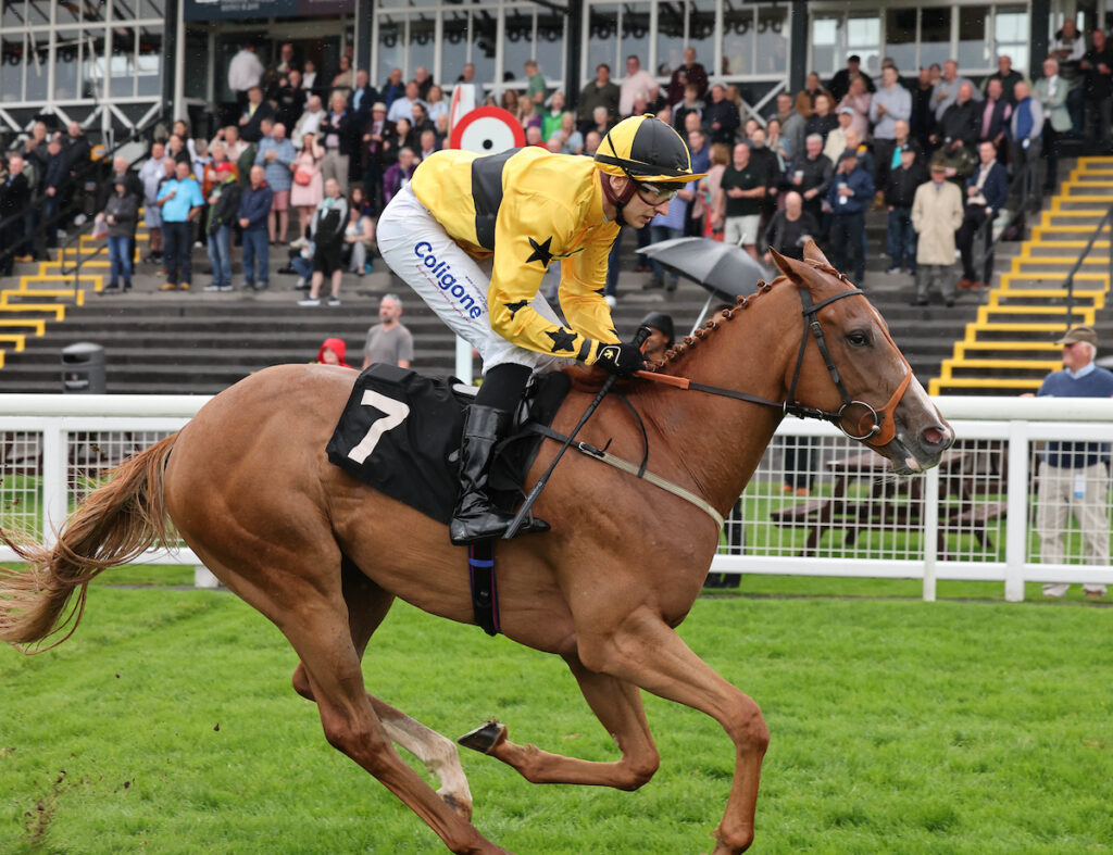 Quick Fire Double at Musselburgh