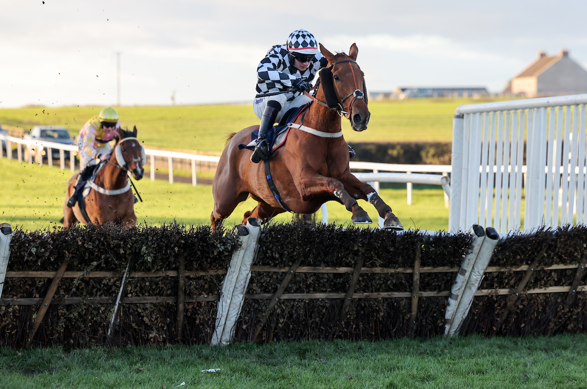 Backbyjet to the winner after finishing 2nd at Hexham