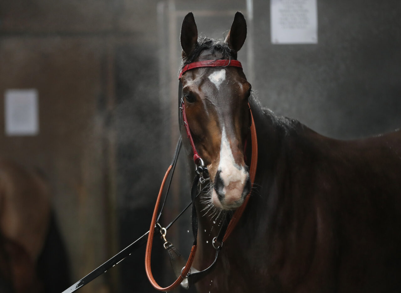 Brian Ellison Racing | One of the leading dual-purpose trainers in the ...