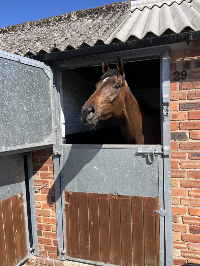 Lilly breaks her maiden.