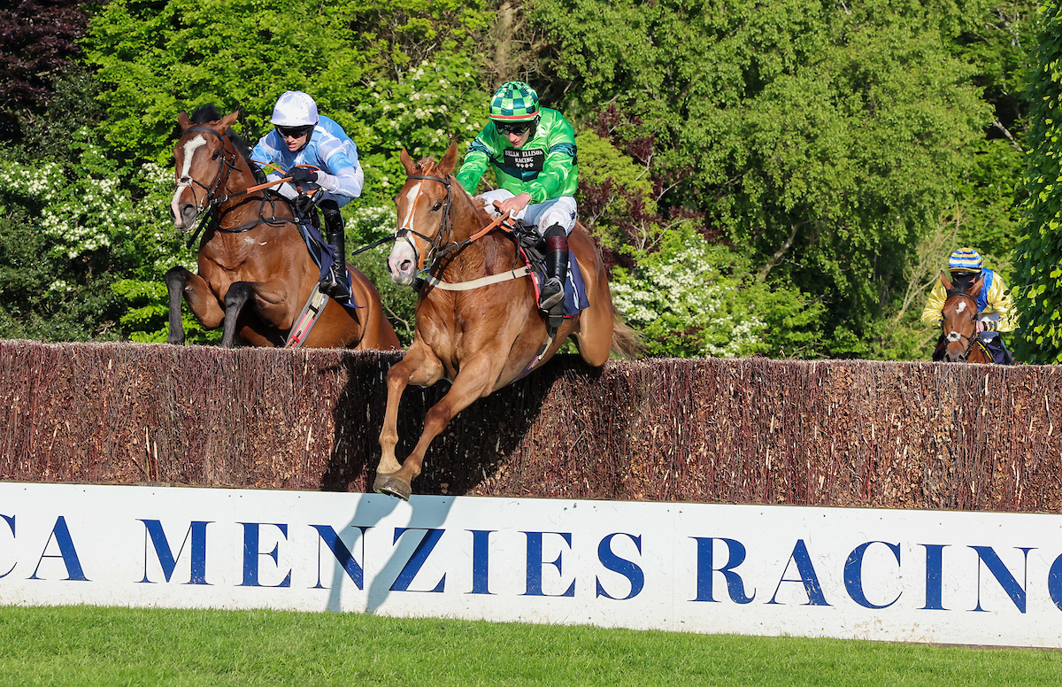 Backbyjet to the winner after finishing 2nd at Hexham