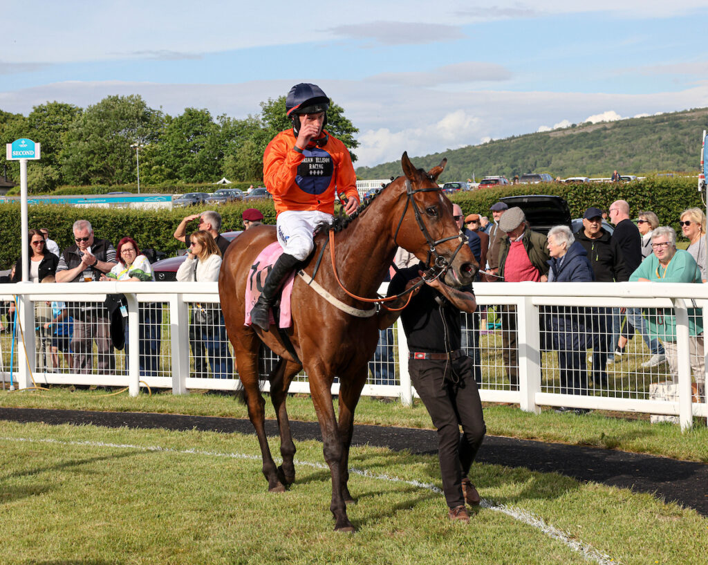 Terrorise wins over hurdles.