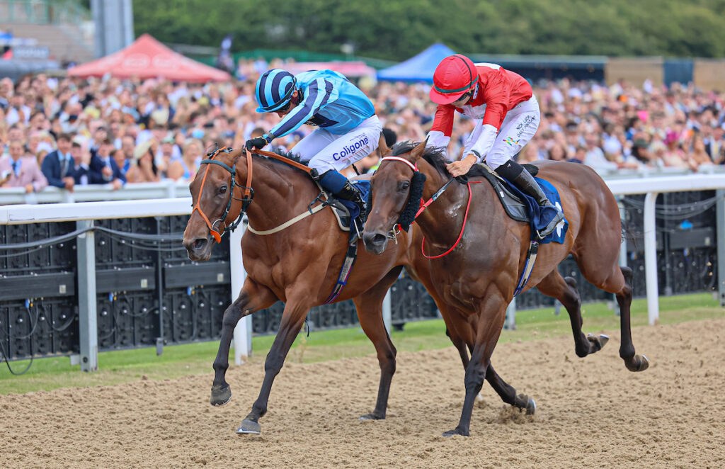 A Cross Country Double