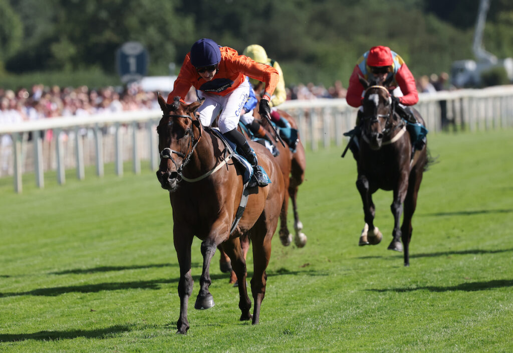 Terrorise wins at York.