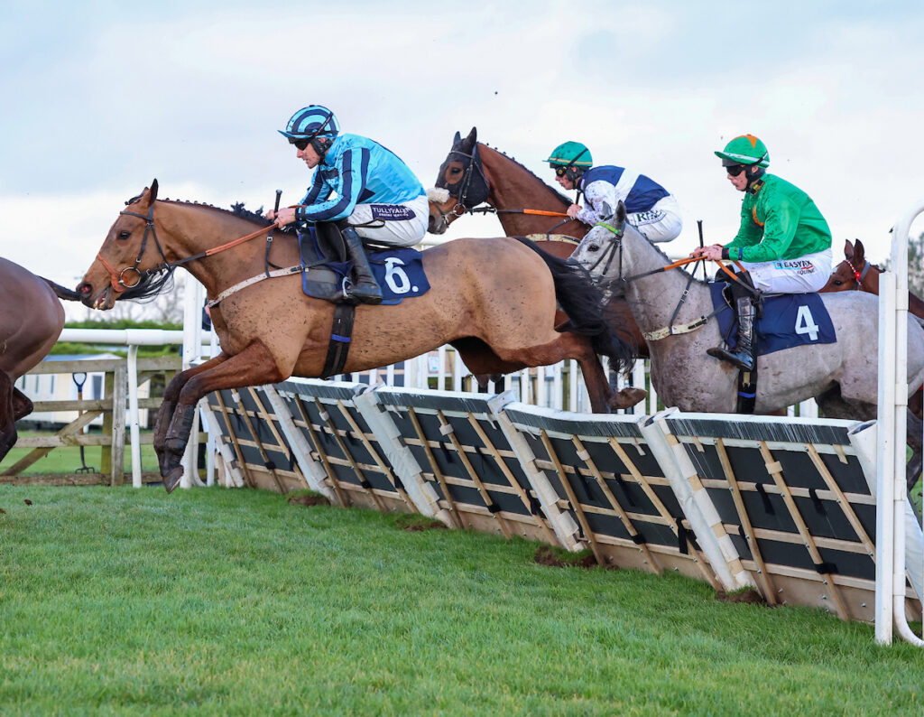 Tashkhan makings winning hurdle debut.